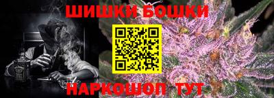 крисы Можга