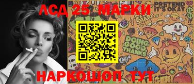 крисы Можга