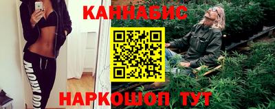 крисы Можга