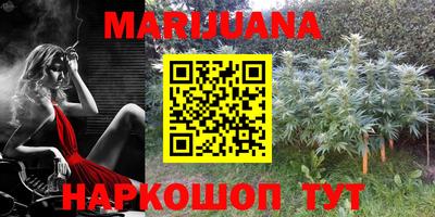 PSILOCYBIN Моздок