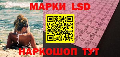 крисы Можга