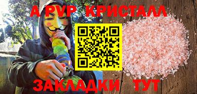 крисы Можга