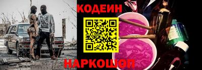 крисы Можга