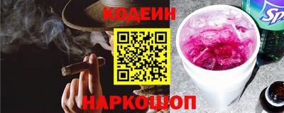 крисы Можга
